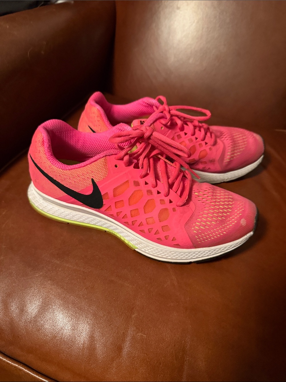 Nike pegasus 31